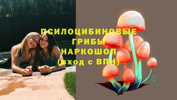 спайс Кукмор