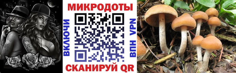 Галлюциногенные грибы мухоморы  Купить закладки  Бутурлиновка 